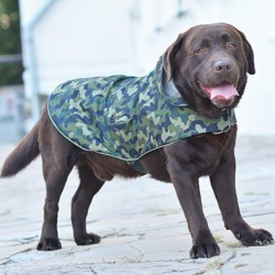 Хаки дождевик Рекс